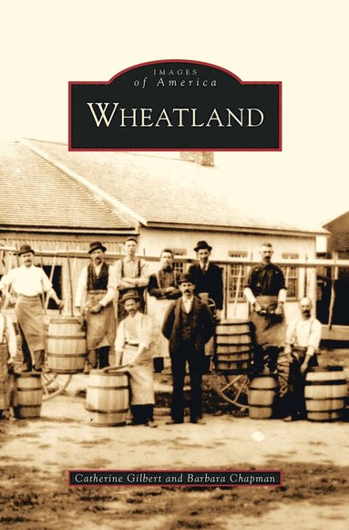 bokomslag Wheatland