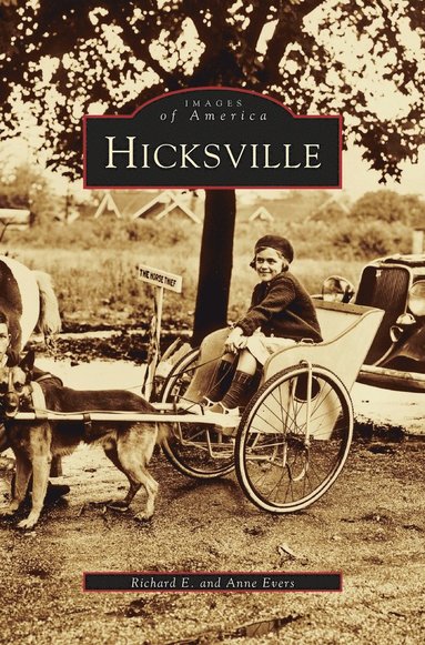 bokomslag Hicksville