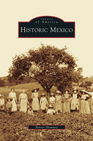 bokomslag Historic Mexico