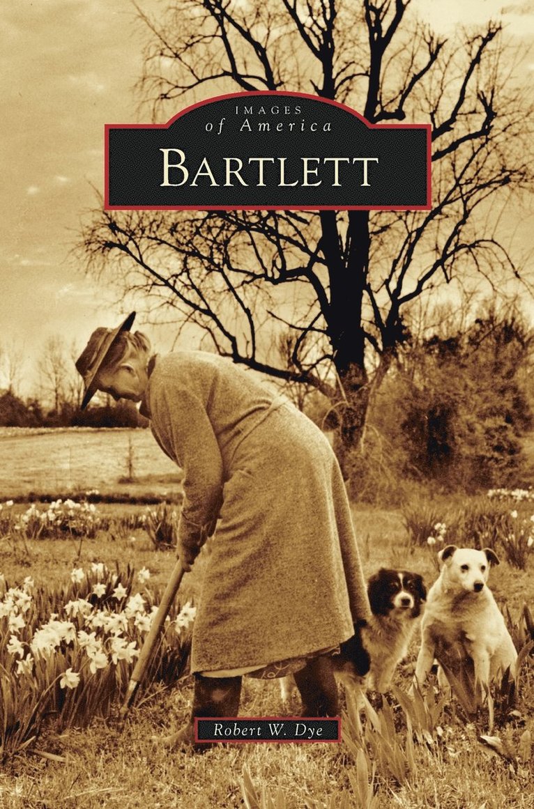 Bartlett 1