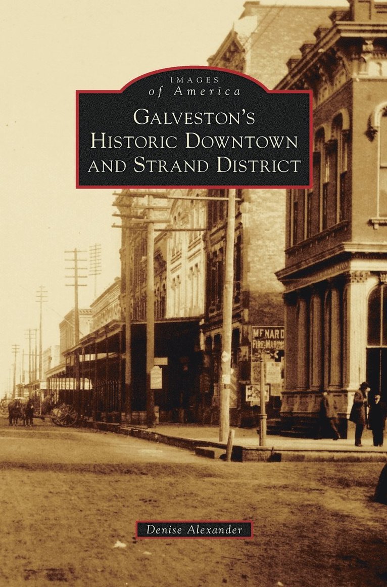 Denise Alexander - Galveston's Historic Downtown and Strand District, Inbunden