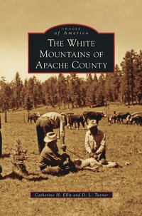 bokomslag White Mountains of Apache County
