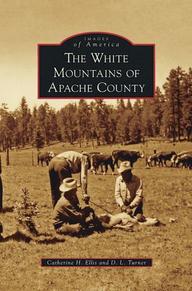 bokomslag White Mountains of Apache County