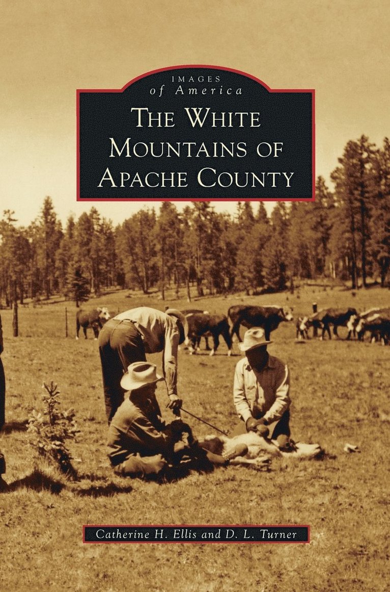 White Mountains of Apache County 1