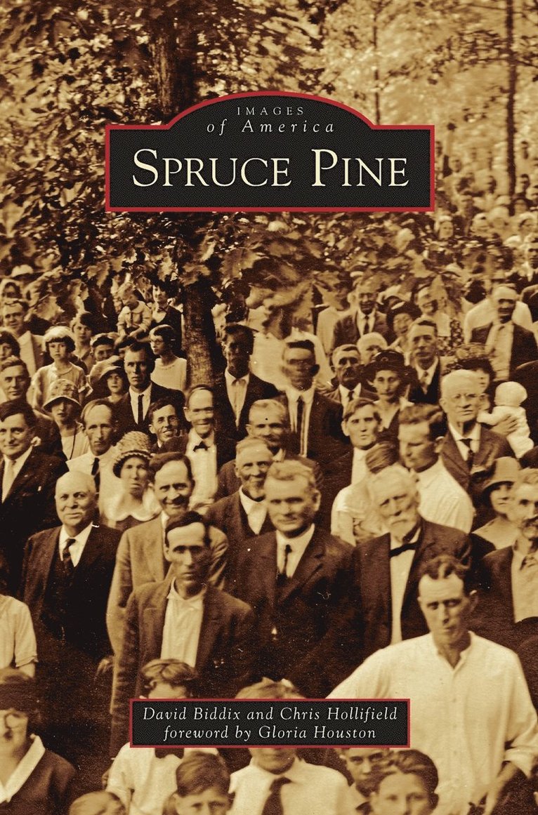 Spruce Pine 1
