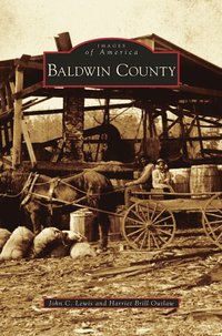 bokomslag Baldwin County