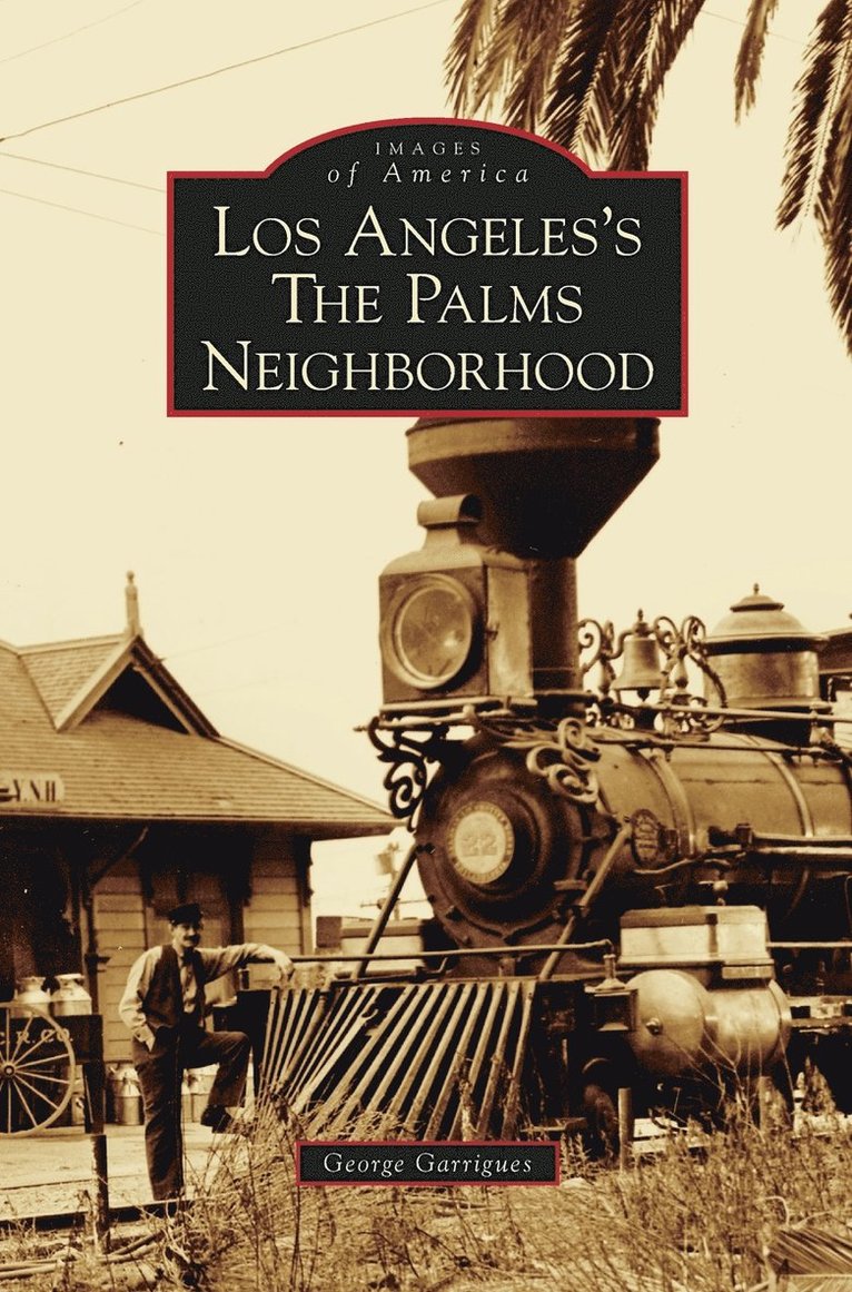 Los Angeles's the Palms Neighborhood 1