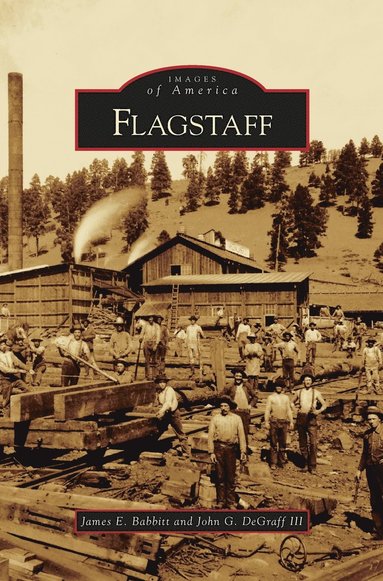 bokomslag Flagstaff