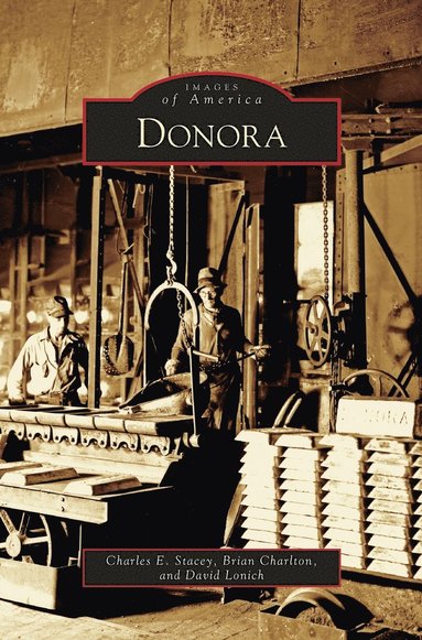 bokomslag Donora