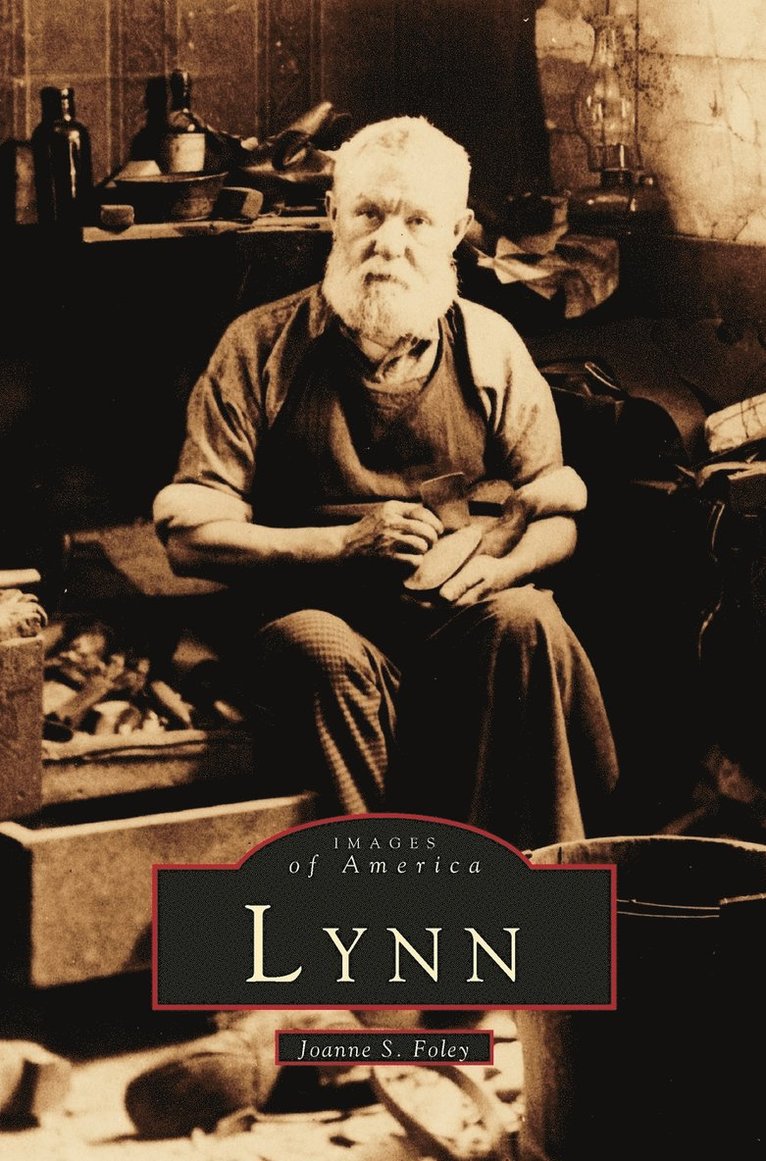 Lynn 1