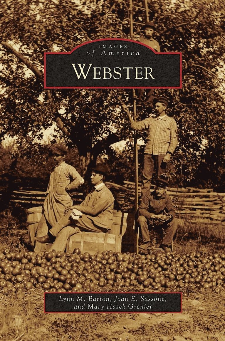 Webster 1