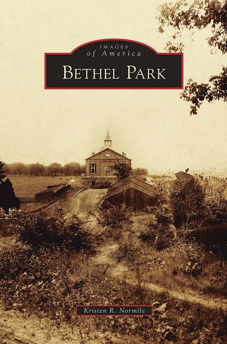 Kristen R Normile, Kristen R. Normile - Bethel Park, Inbunden