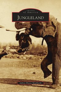 bokomslag Jungleland