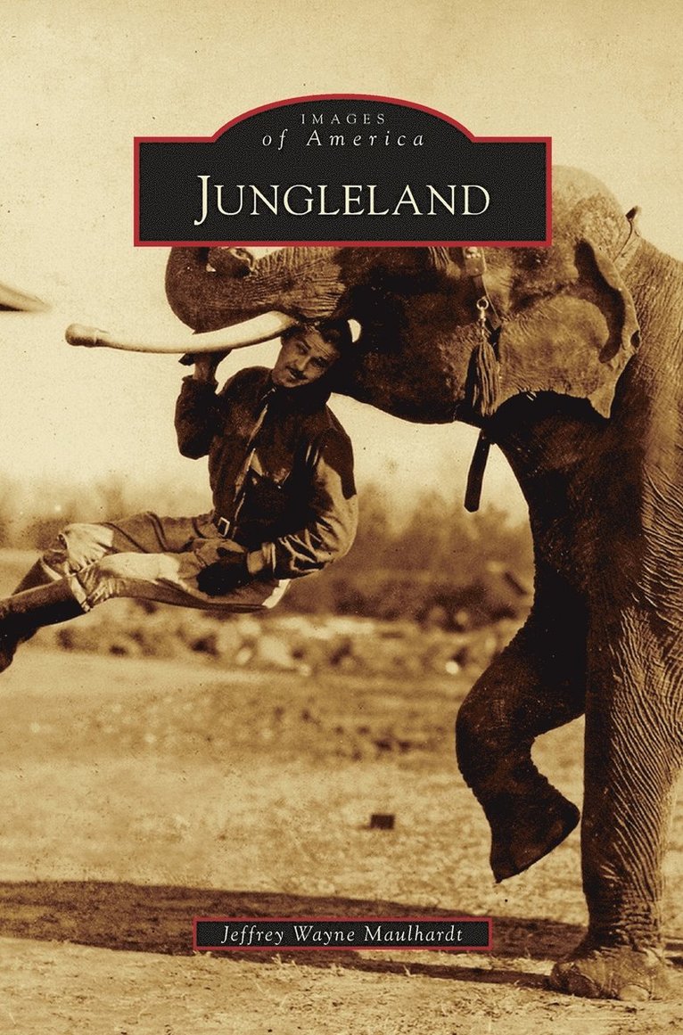 Jungleland 1