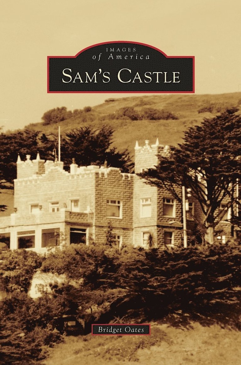 Sam's Castle 1