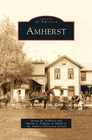 Donna M Deblasio, Martha I Pallante, Amherst Historical Society - Amherst, Inbunden