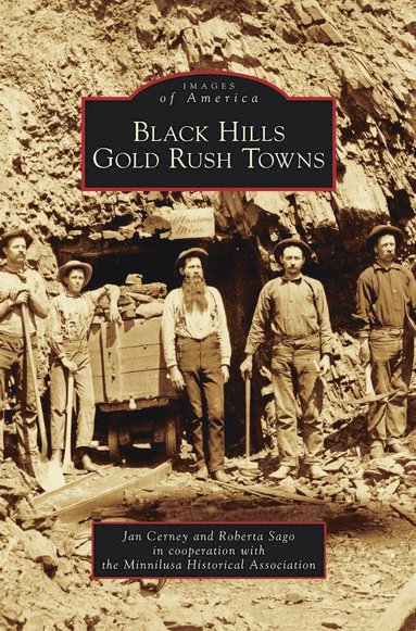 bokomslag Black Hills Gold Rush Towns