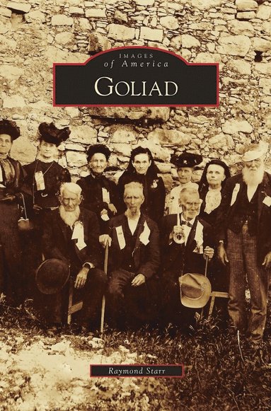 bokomslag Goliad