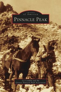 bokomslag Pinnacle Peak