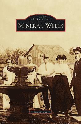 bokomslag Mineral Wells