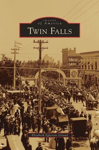 bokomslag Twin Falls