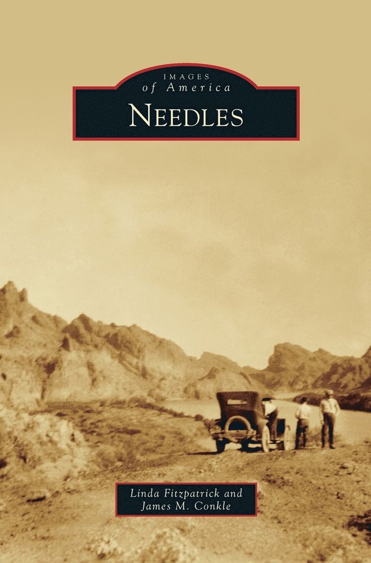 Needles 1