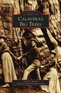 bokomslag Calaveras Big Trees