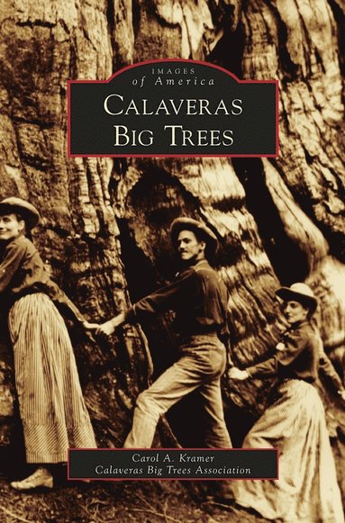 bokomslag Calaveras Big Trees