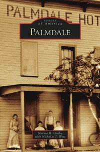 bokomslag Palmdale