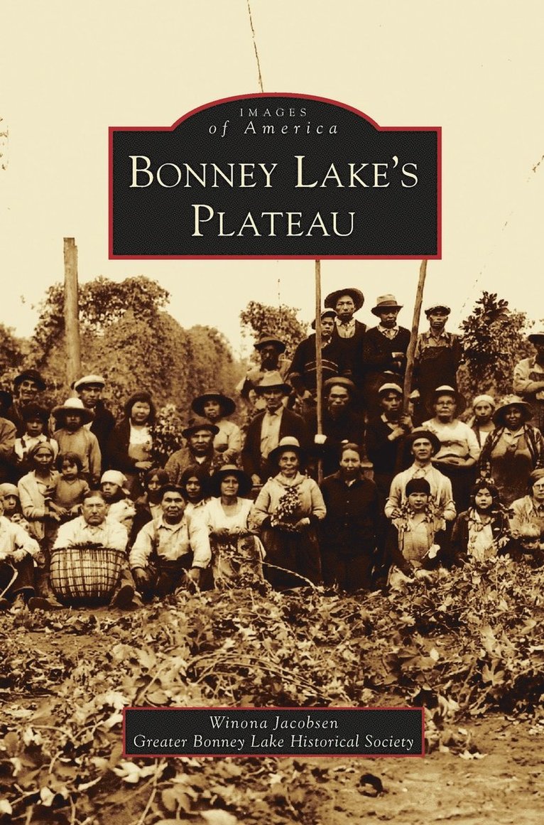 Bonney Lake's Plateau 1