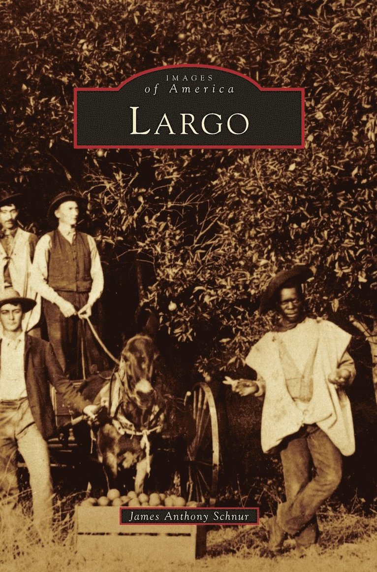 James Anthony Schnur - Largo, Inbunden