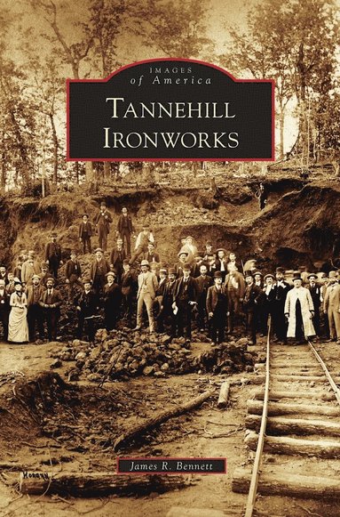 bokomslag Tannehill Ironworks