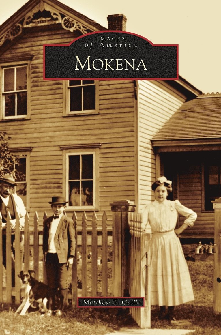 Mokena 1