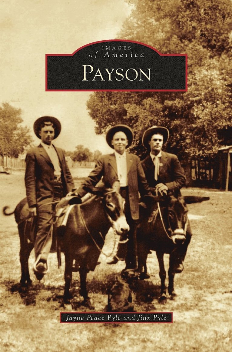 Payson 1