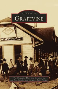 bokomslag Grapevine