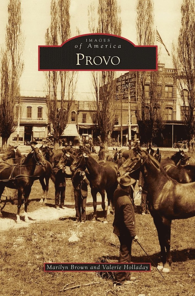 Provo 1