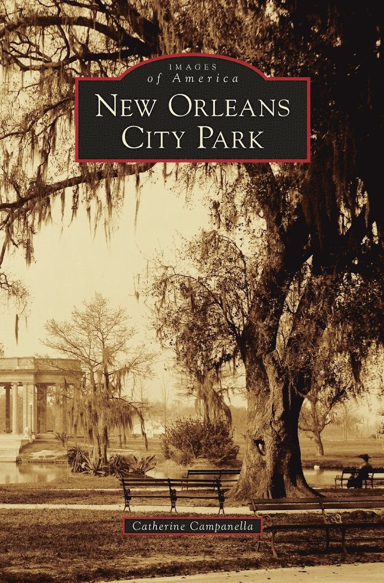 New Orleans City Park 1