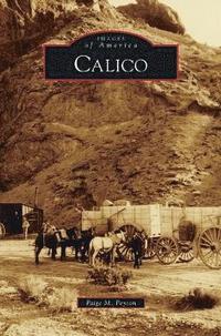 bokomslag Calico