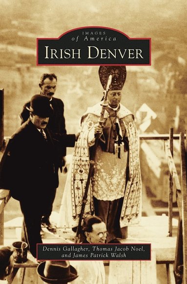 bokomslag Irish Denver