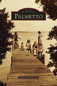 bokomslag Palmetto