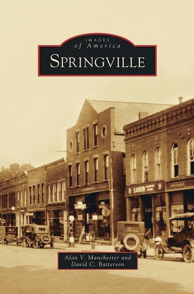 bokomslag Springville