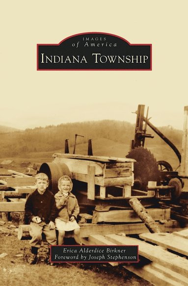 bokomslag Indiana Township