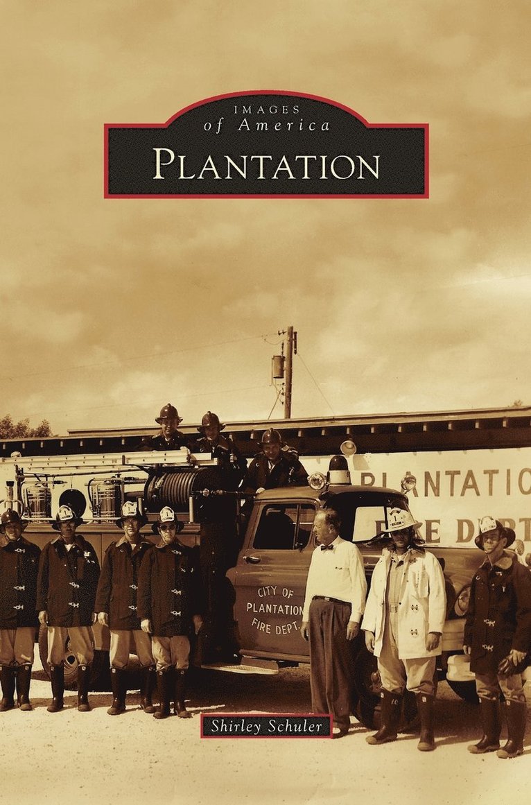 Plantation 1