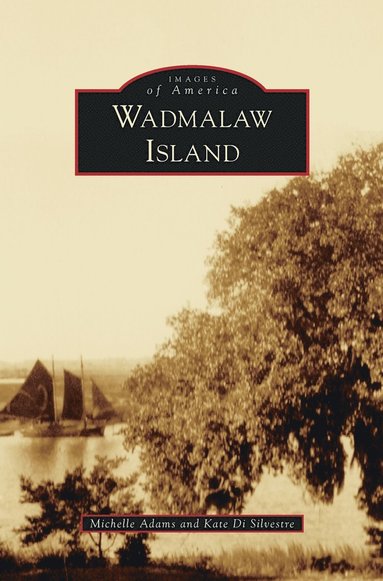 Michelle Adams, Kate Di Silvestre - Wadmalaw Island, Inbunden