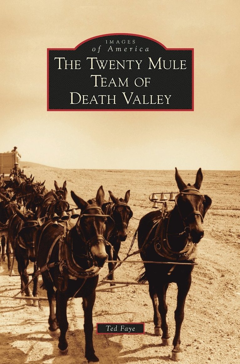 Twenty Mule Team of Death Valley 1