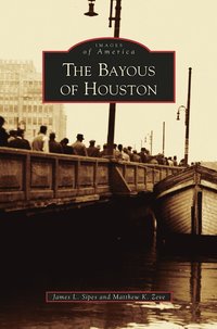 bokomslag Bayous of Houston