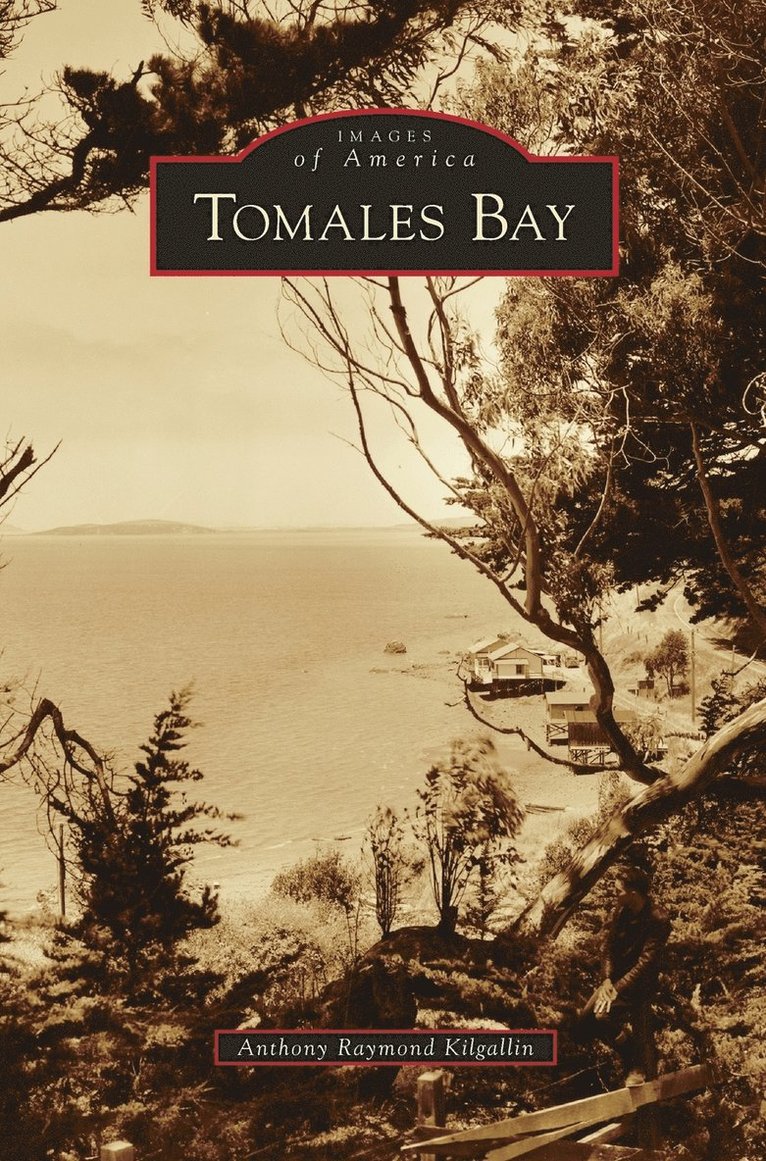 Tomales Bay 1