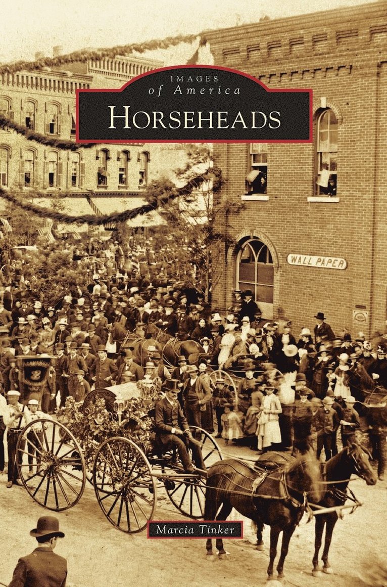 Marcia Tinker - Horseheads, Inbunden