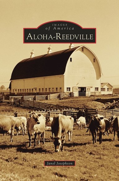 bokomslag Aloha-Reedville