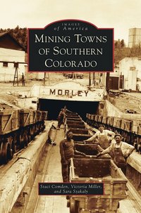 bokomslag Mining Towns of Southern Colorado